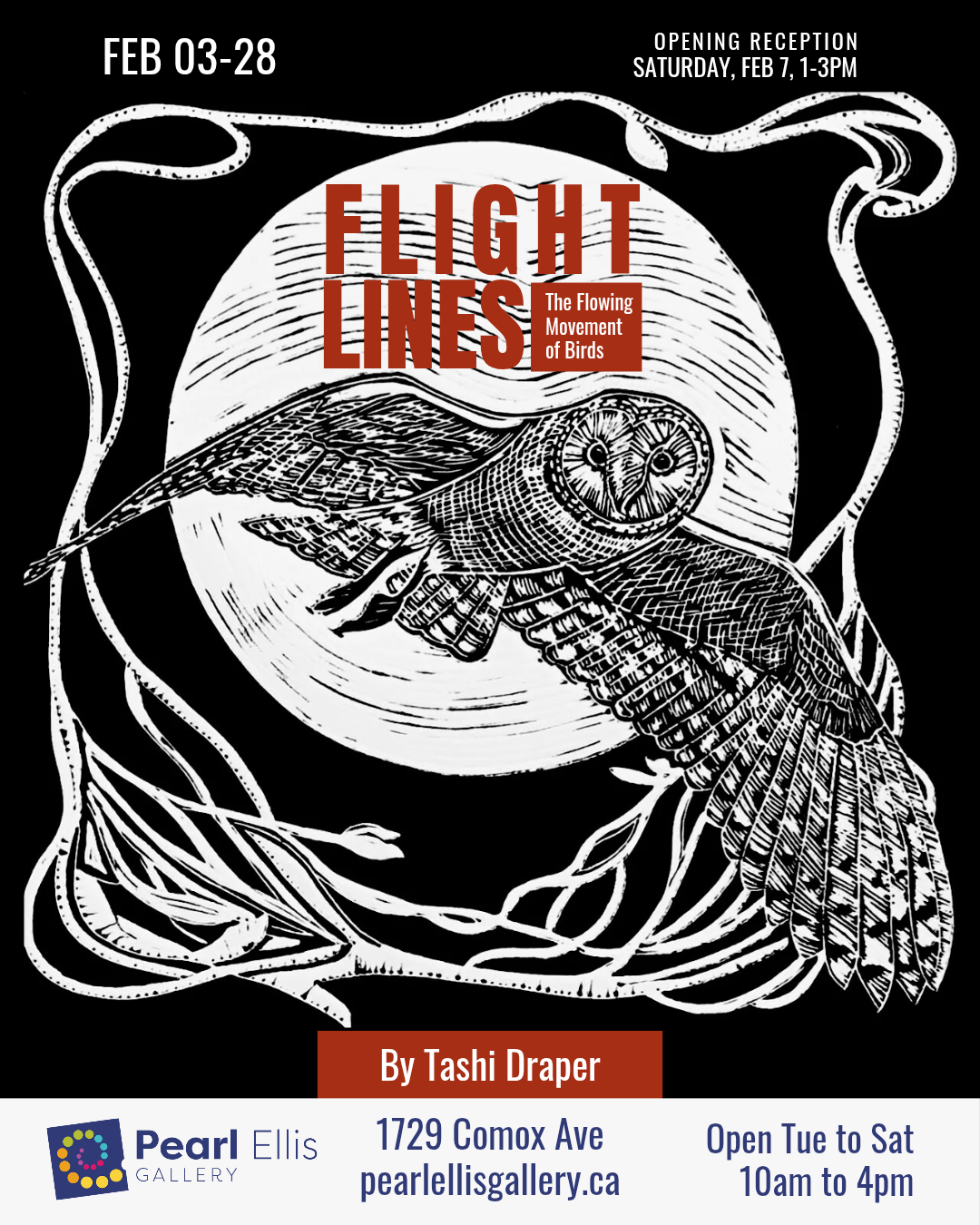 Flight Lines: The Flowing Movement of Birds