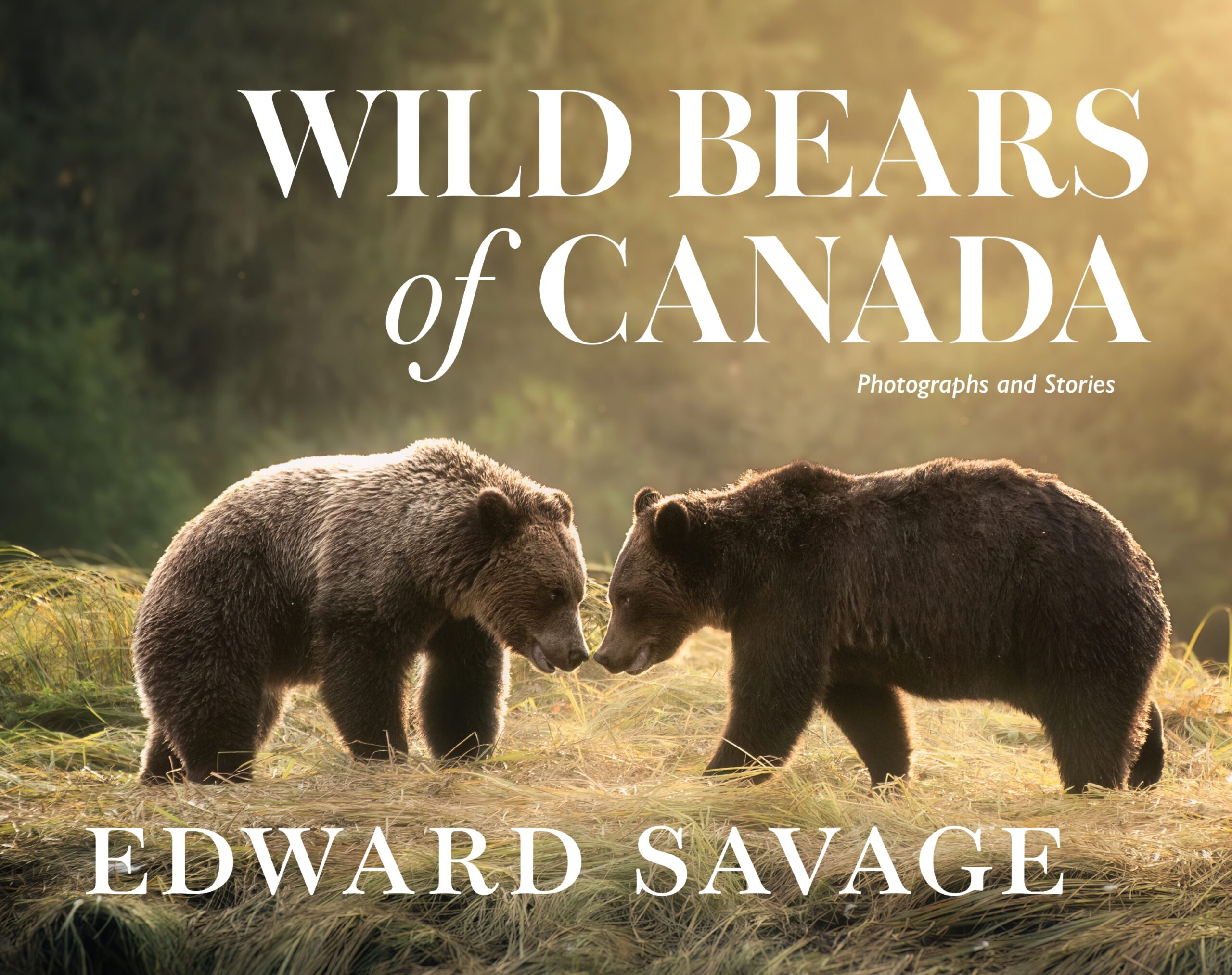 Lecture: Wild Bears of Canada